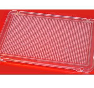 Placa transparente para pinchos 31×21 cm