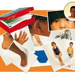 Maletín con fotografías del cuerpo y prendas de vestir