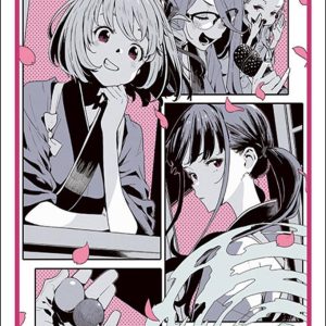 Bushiroad: Sleeve Collection – HG Vol. 4931 Lycoris Recoil (75x Sleeves)