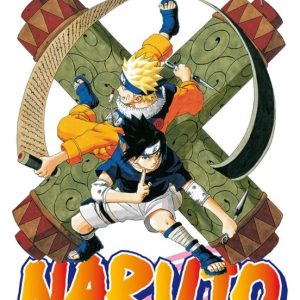 Naruto: 17